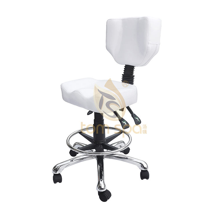 Salon Chair Master Furniture