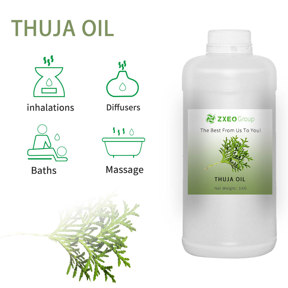 100%reines Thuja -ätherisches Öl für die Hautpflege Aromatherapie nähren