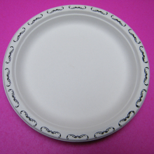Sugarcane Paper Plates: Disposable & Compostable