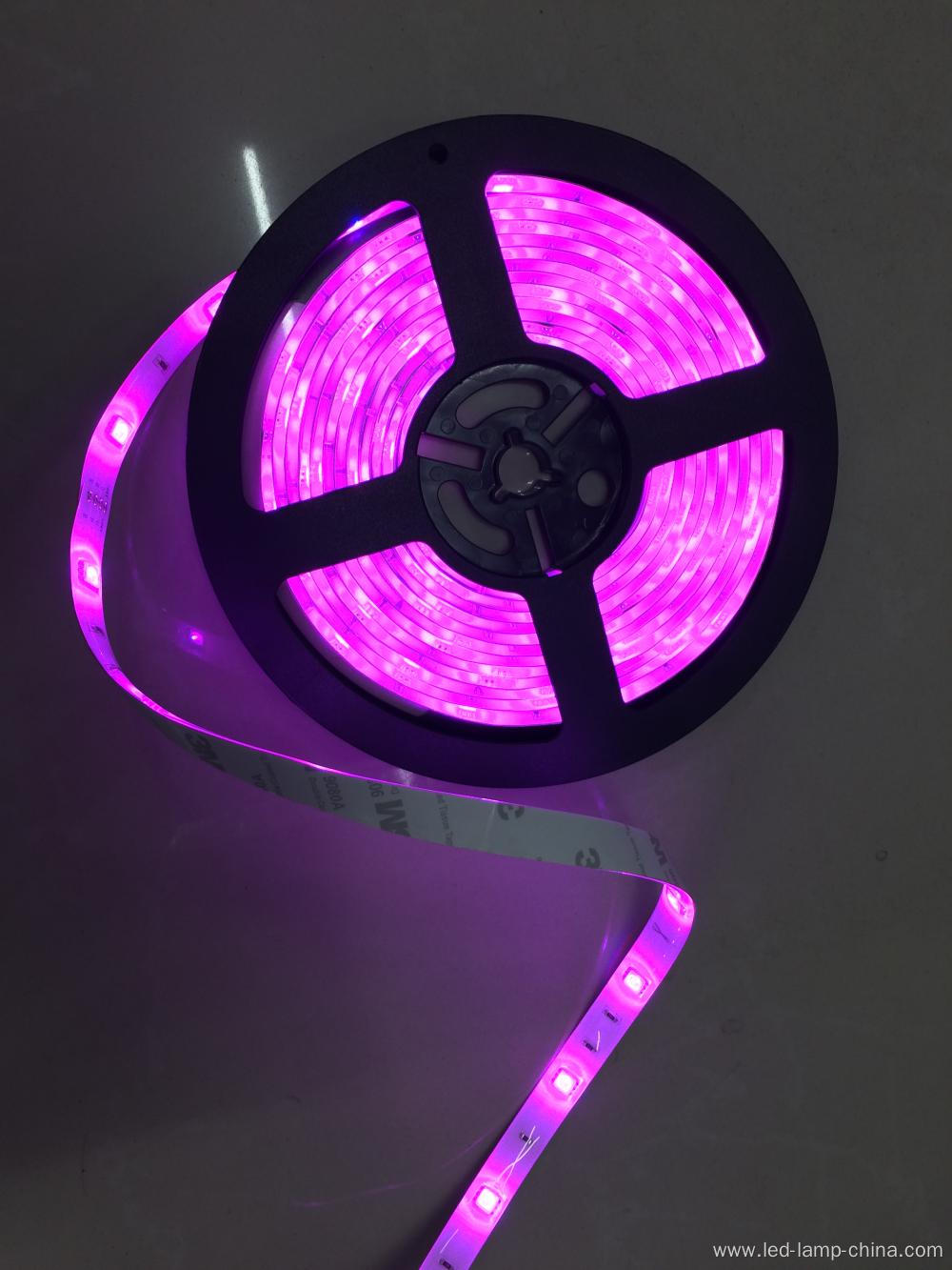 5050SMD 24V Pink Led Strip light