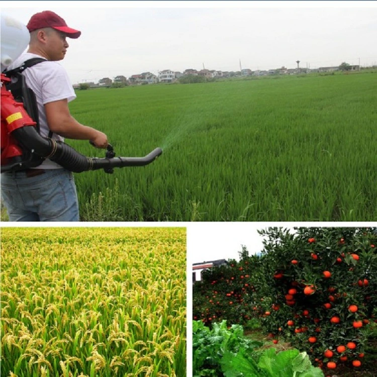 20L/26L Knapsack Agriculture Mist Duster Sprayer