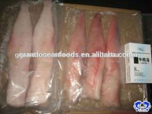 monkfish tail frozen raw