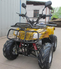 China Made Quad Bikes Price