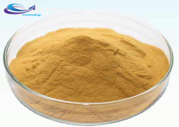 Organic Bamboo Extract Bamboo Leaf Extract Powder