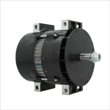 Shop for High-Quality Alternator Spare Parts for Diesel Engines: ATG20604, 200619, LNP-110-816, 5590000737, BLP3317, BLP3317A, XBLP3317A