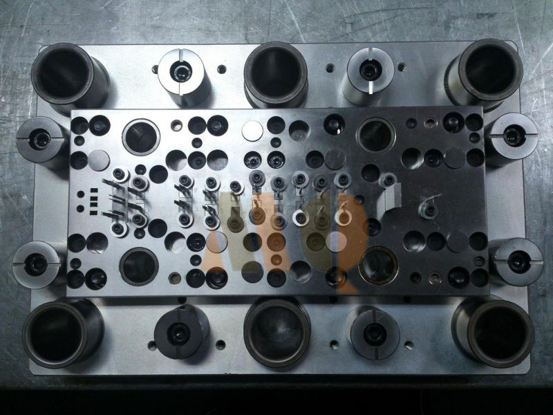 Plastic Injection Mold Stamping Die (MQMD001)