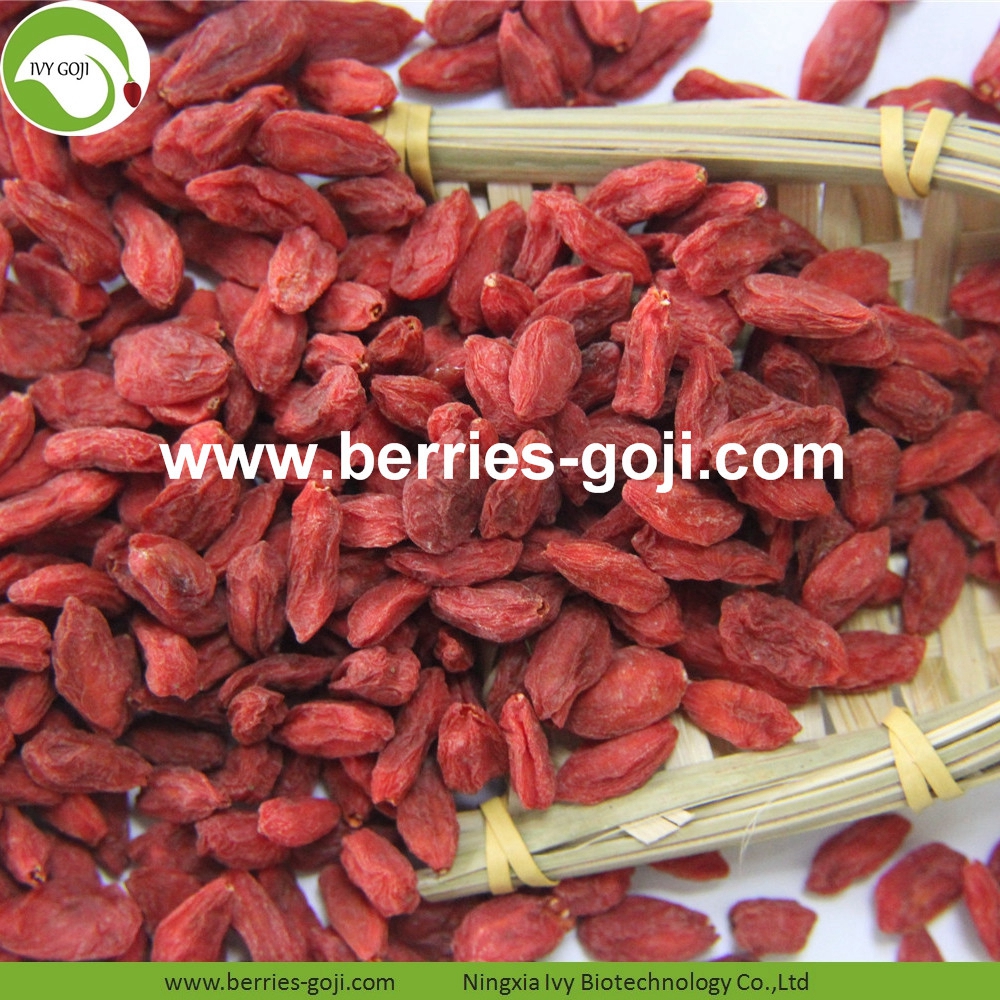 Goji-Beeren goji berry