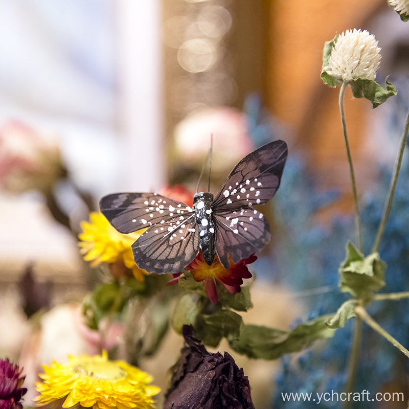 Butterfly decoration on wall