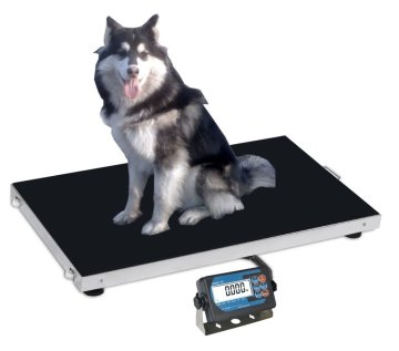 Medical scale Veterinary scales animal scales pet scales