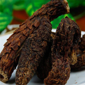 Natural high-quality Cistanches Herba medicinal product