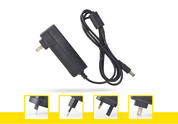 24V 2A Interchangeable Power Adapter