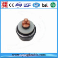 1x1200mm2 110kv CU / XLPE / CAS / MDPE Power CABLE DENGAN DTS Fiber