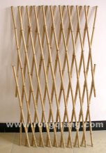 Expandable Bamboo Border (HL-BFF)