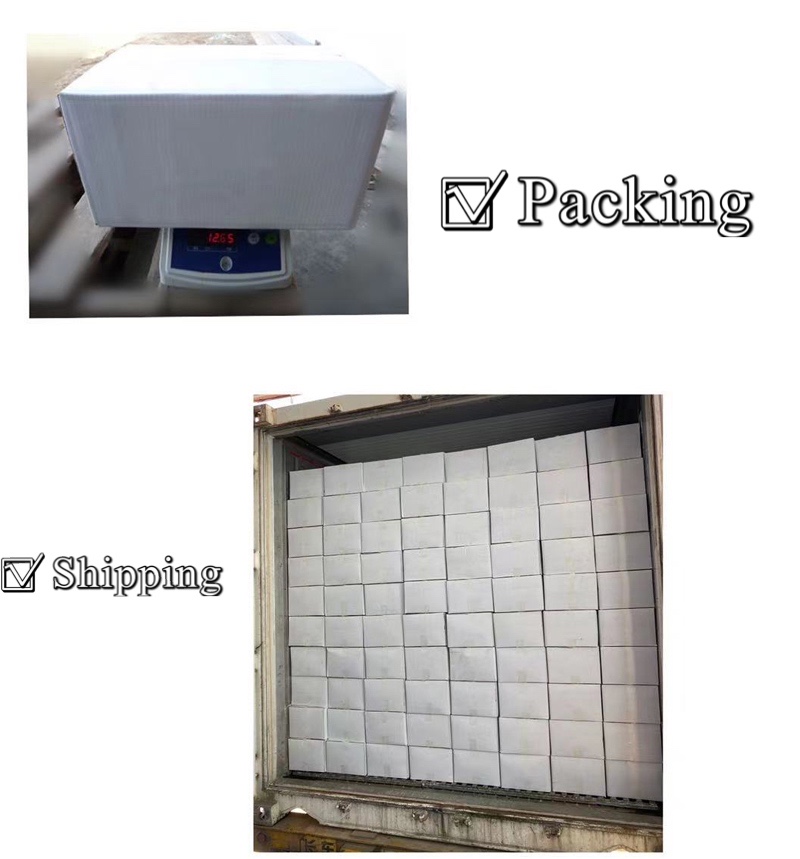 High quality blue mussels