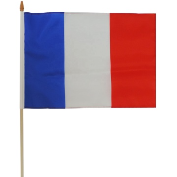 Best selling national French custom hand held flags