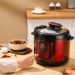 Wholesale electric pressure cooker europe fried chicken