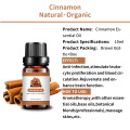 Buy Premium Quality Cinnamon Bark Essential Oil