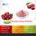 Supply VC 17% 25% Acerola Cherry Extract Powder