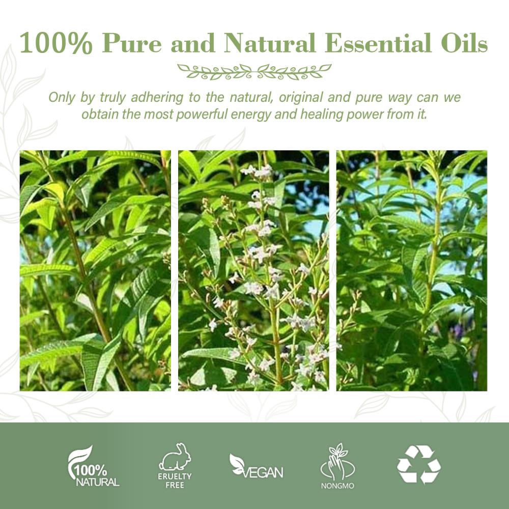 Wholesale Price Lemon Verbena Essential Oil Organic For Health Care