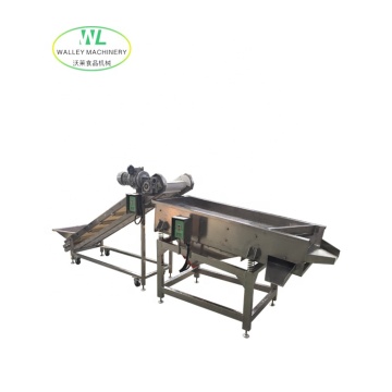 Custom Vibrating Date Grading Machine - Factory Supply