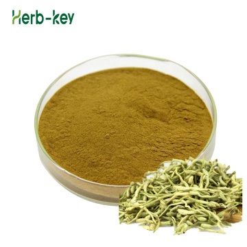 Honeysuckle extract Chlorogenic Acid 98% Honeysuckle extract