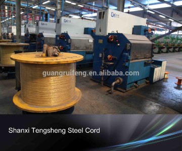 Tire Cord, Steel Cord for Tyre (3+8*0.33ht), Steel Wire