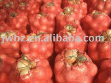 PP onion leno bags with excellent quality