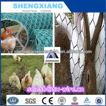 High Quality PVC Coated Hexagonal Wire Mesh(ISO9001,20 years' factory)
