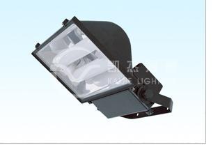 Flood Induction Light