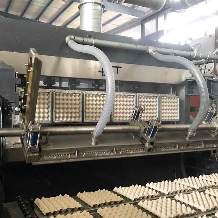 New Design Alveoles Egg Tray Machine The Price Of Egg Tray Machine