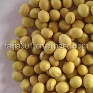 poultry feed soyabean meal low price