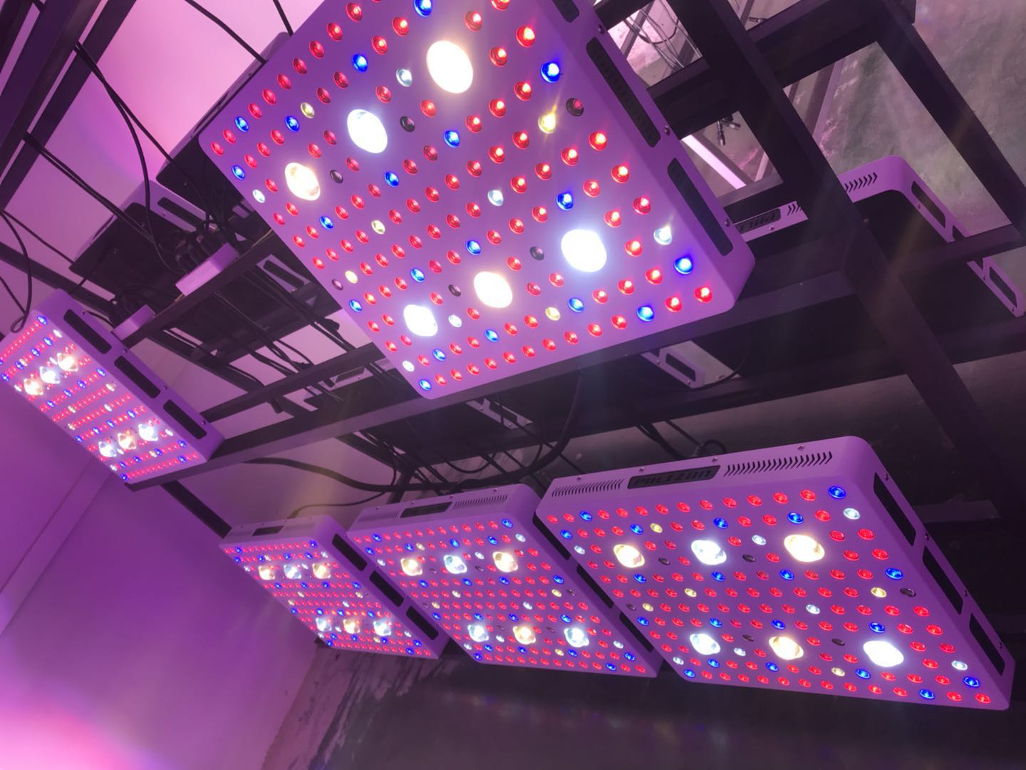 LED Grow Light Phlizon