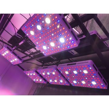 Luz de cultivo LED de mazorca de 3000 vatios