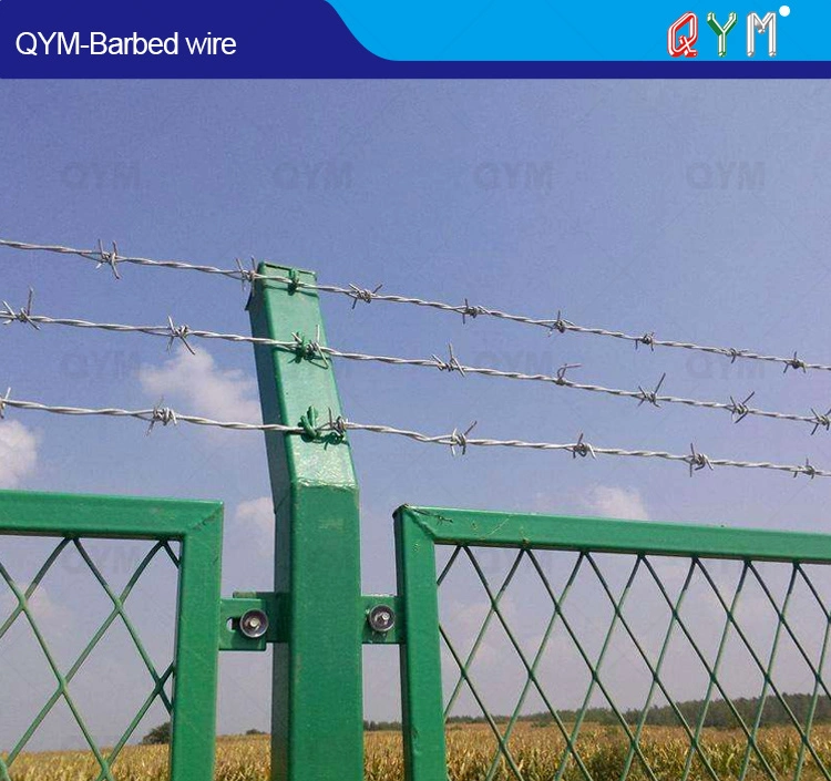 14 Gauge Galvanized Stainless Steel Barbed Wire Factory