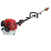 Pole Chain Saw And Hedge Cutter - Gasoline, Mini, Cordless Options Available