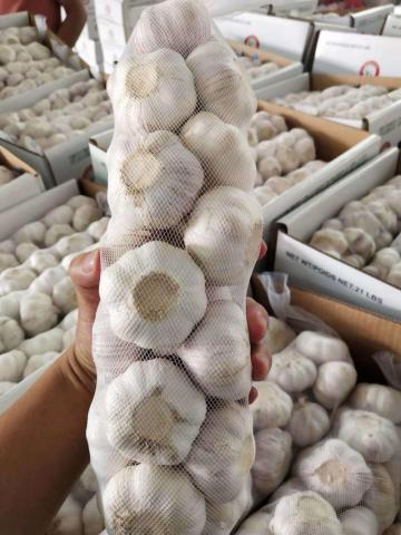 Chinese fresh garlic normal white pure white