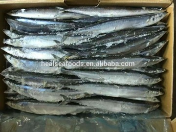 SEAFROZEN PACIFIC SAURY WHOLE ROUND