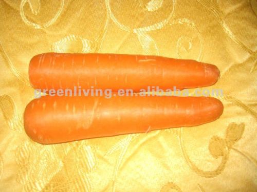 Fresh organic carrot