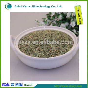 common fennel seed extract powder price