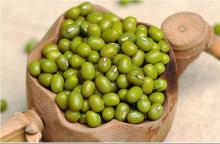 Cleaned green mung beans