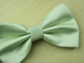 100% poliéster moda Bowtie B-06