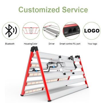 1000 W Light Light Commercial 10 bar LM301B