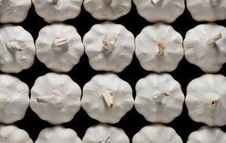 4.5cm - 5.0cm Spicy Fresh Normal White Garlic , No Black Mo