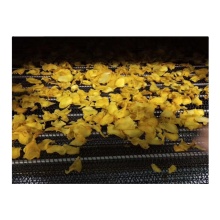 Fruit Dryer Machine for Efficient Fruit Processing Lines