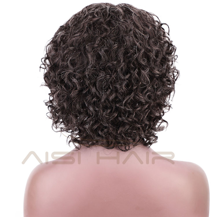 Aisi Hair New Design For Black Women Human Hair 100% Brazilian Hair Afro Kinky Curly Mixed Gray Brown Wig