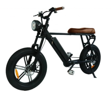 Aluminum frame Ultra-light body fast speed electric bicycle