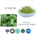 Bubuk Brokoli beku organik kering