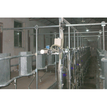 Dairy used mid-set milking parlor