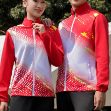 Two-Piece Jogging Suit with Zipper Closure