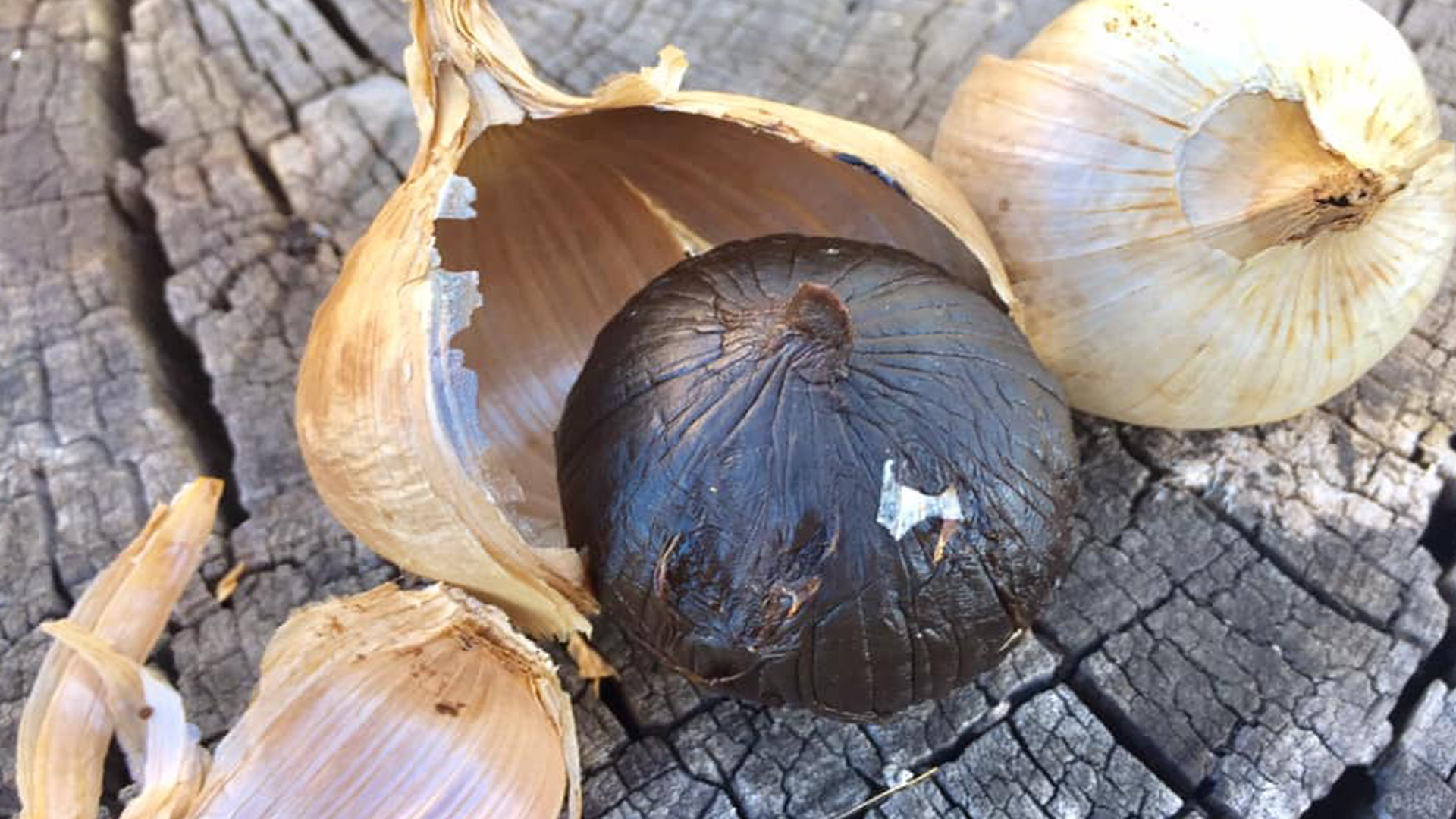 Solo Black Garlic